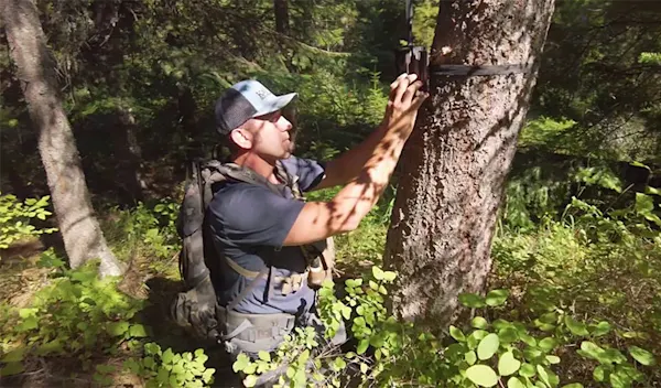 Career - Wildlife Biologist