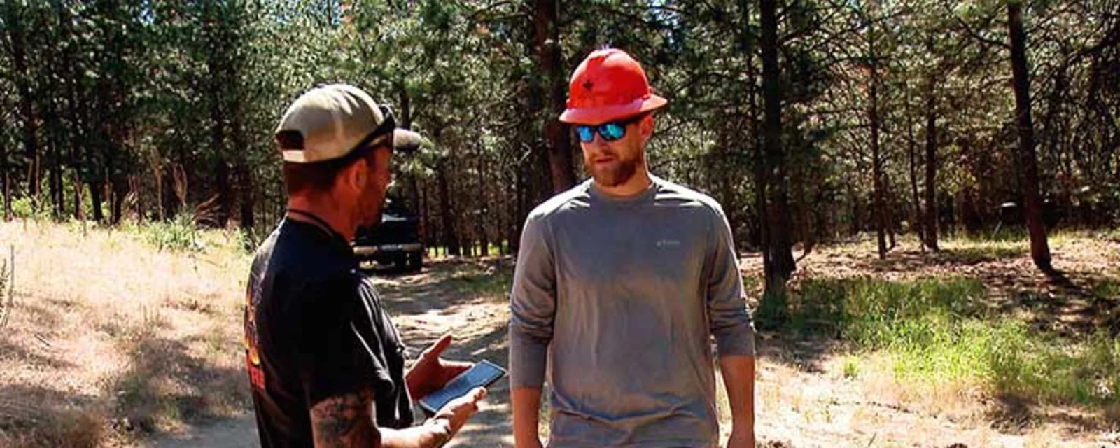 Career - Forester