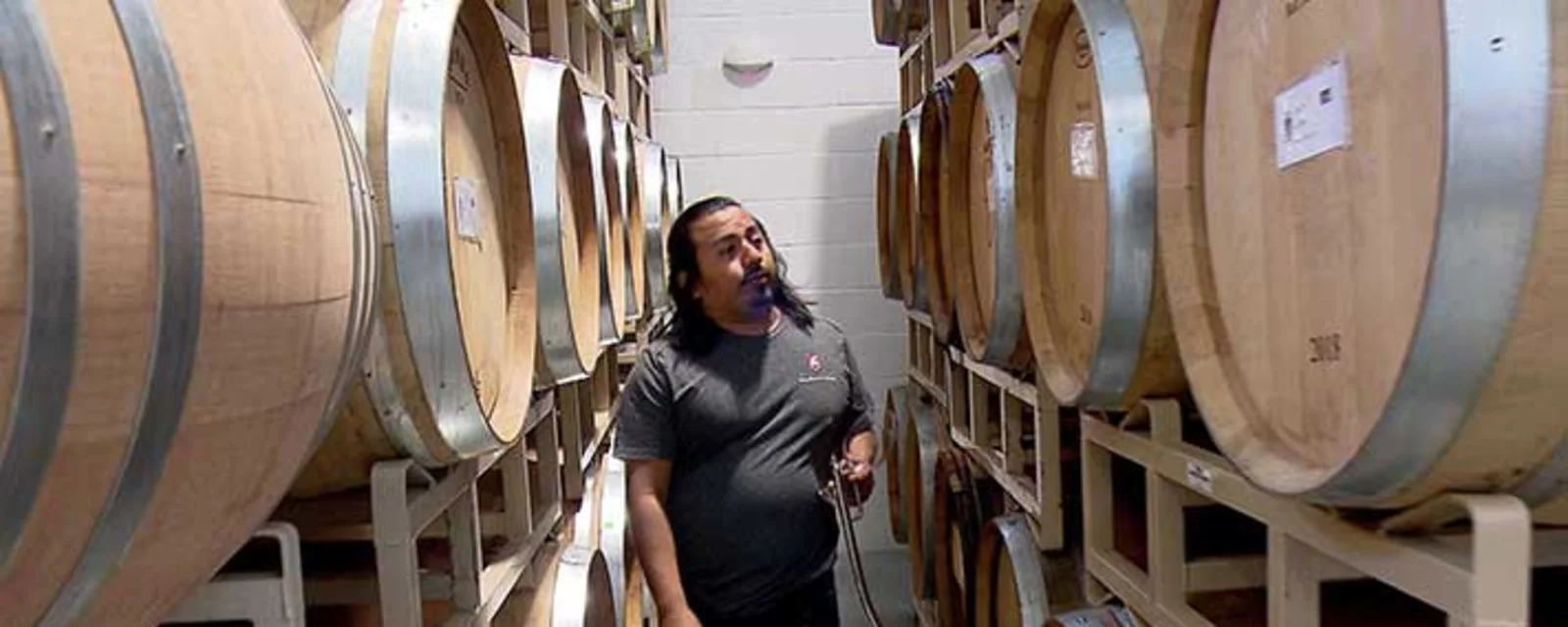 Career - Winemaker