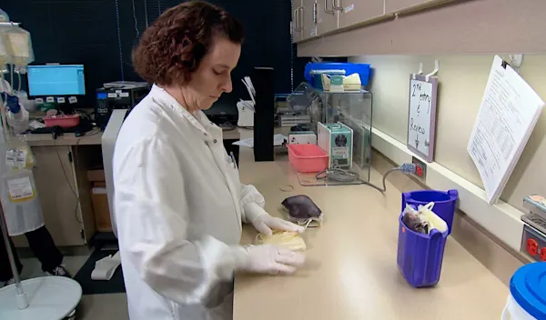Career - Clinical Lab Tech