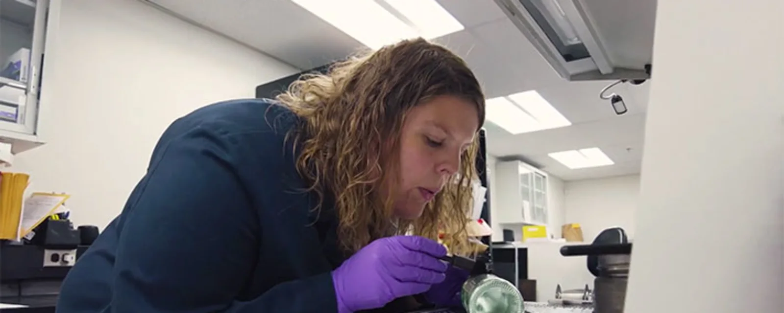 Career - Forensics Specialist