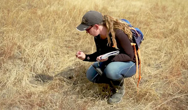 Career - Archaeologist