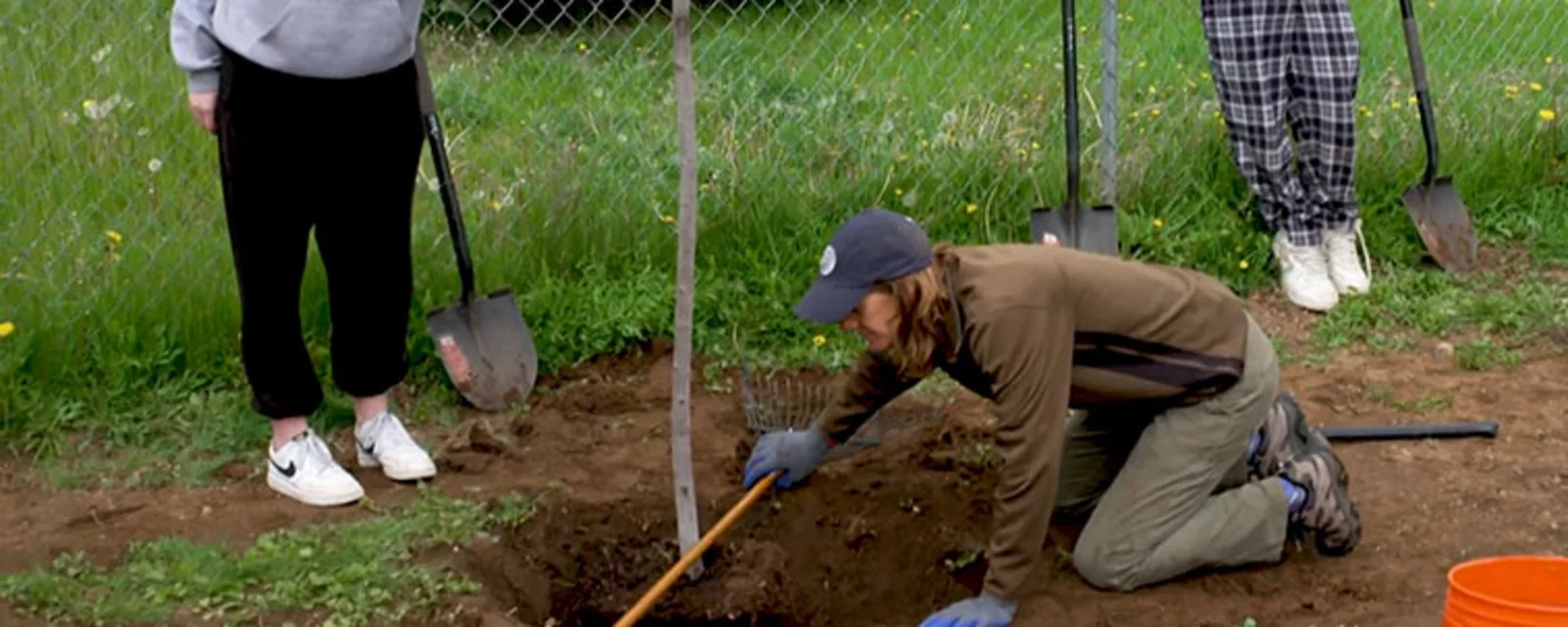 Career - Conservation Scientist