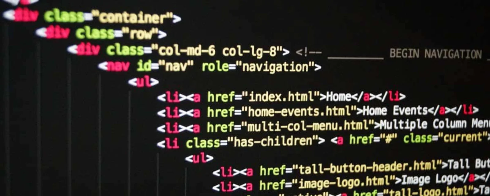 Career - Web Developer
