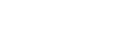 Torchlight