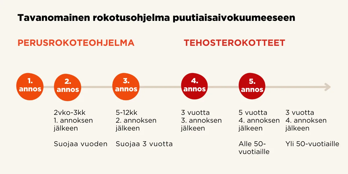 Aikajana, joka näyttää milloin punkkirokote ja sen tehosteannokset tulee ottaa.