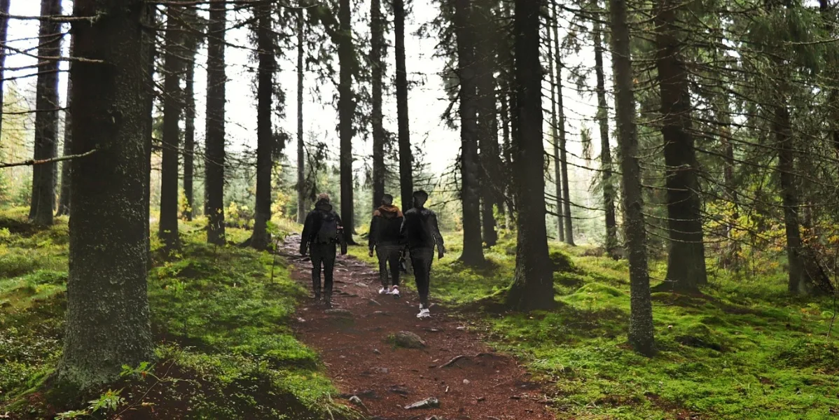 Nuoria kulkemassa kesäisessä metsässä