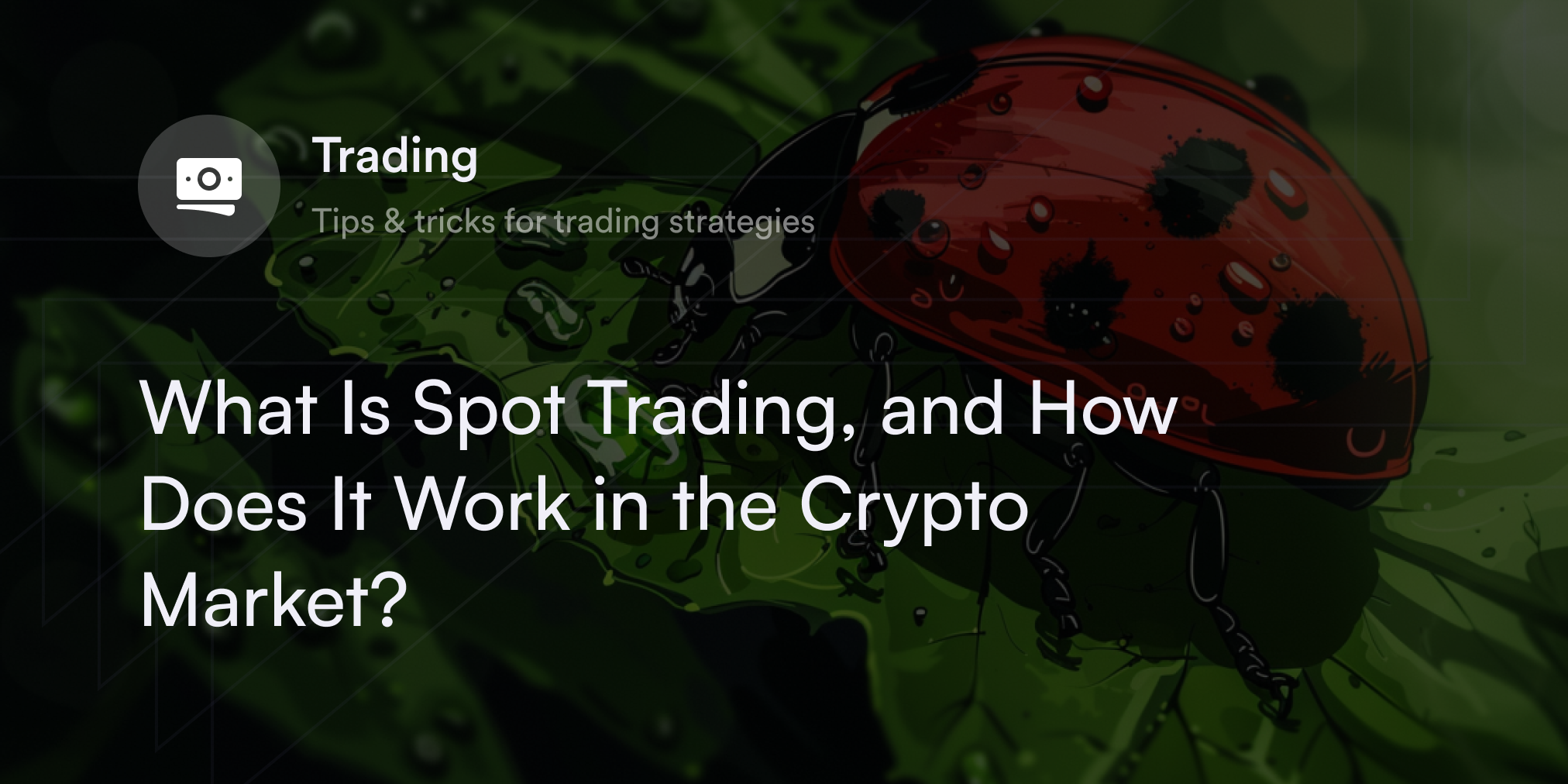 What Is Spot Trading, and How Does It Work in the Crypto Market?