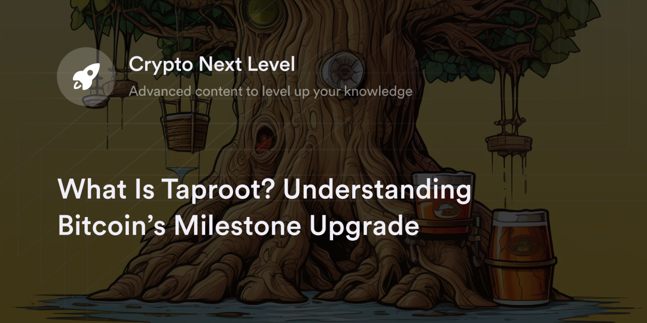 What Is Taproot? Understanding Bitcoin’s Milestone Upgrade