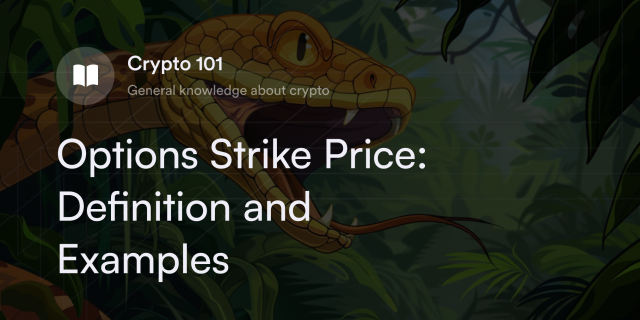 Option Strike Price