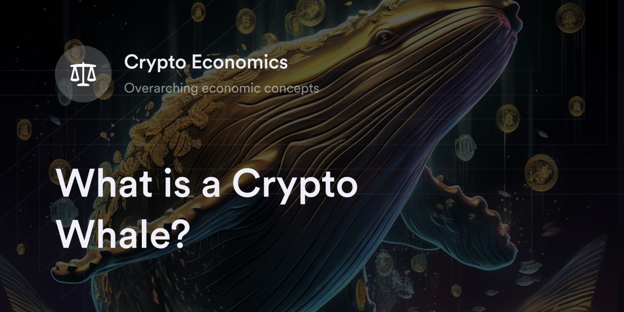 What is a Crypto Whale