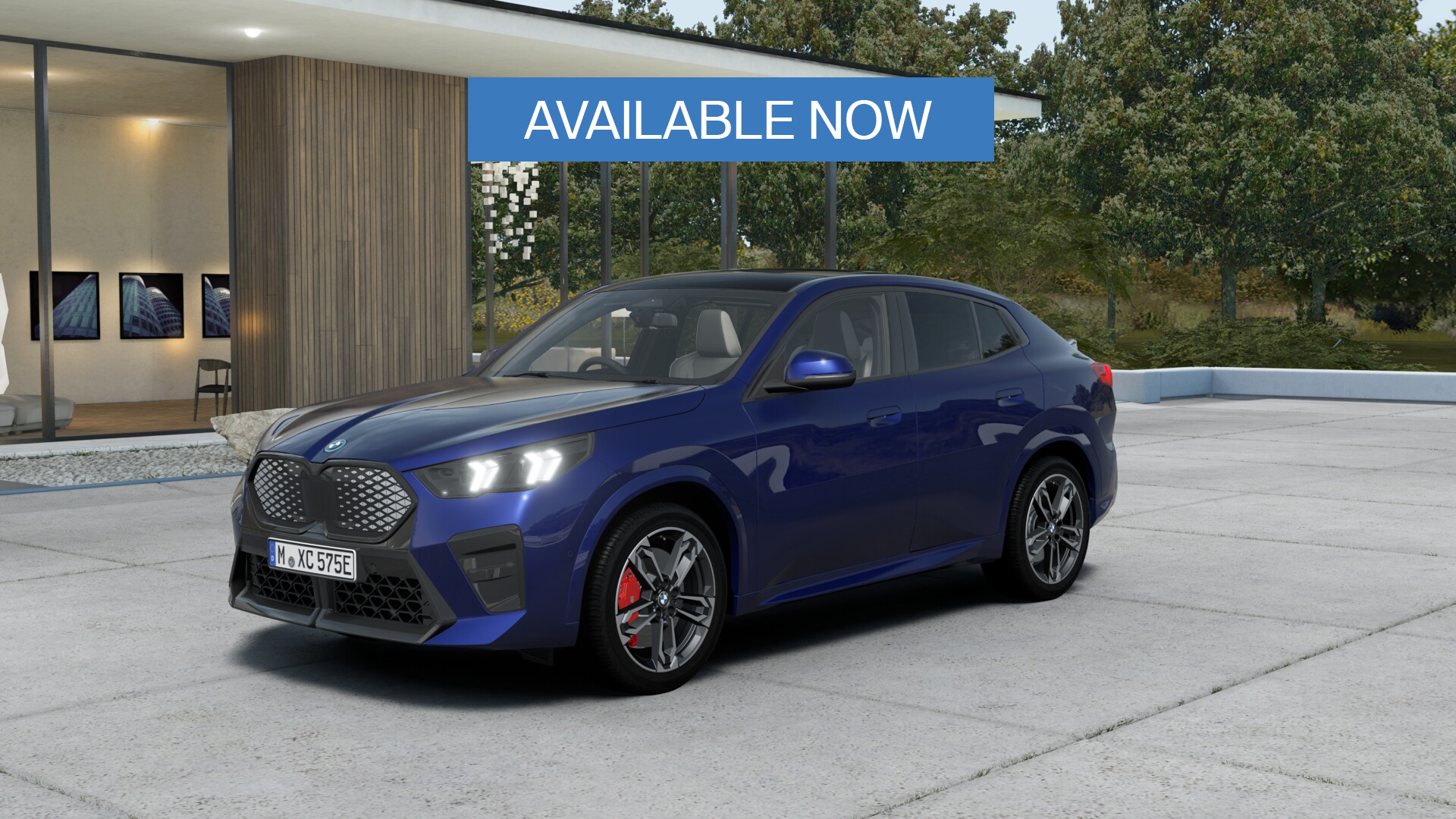 BMW iX2 xDrive30 Shadow Edition