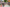 iStock-912703668