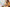 iStock-923079864
