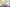 iStock-932280720