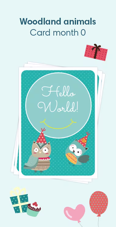Printed cards to celebrate your baby's birth. Decorated with happy motifs including two woodland owls and a celebration note: Hello World!