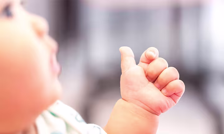 Baby Sign Language