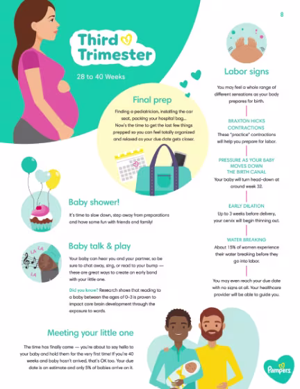 Third Trimester