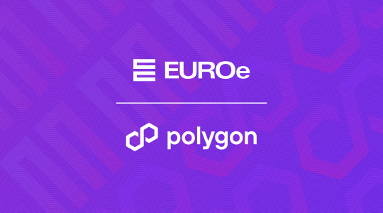 EUROe x Polygon