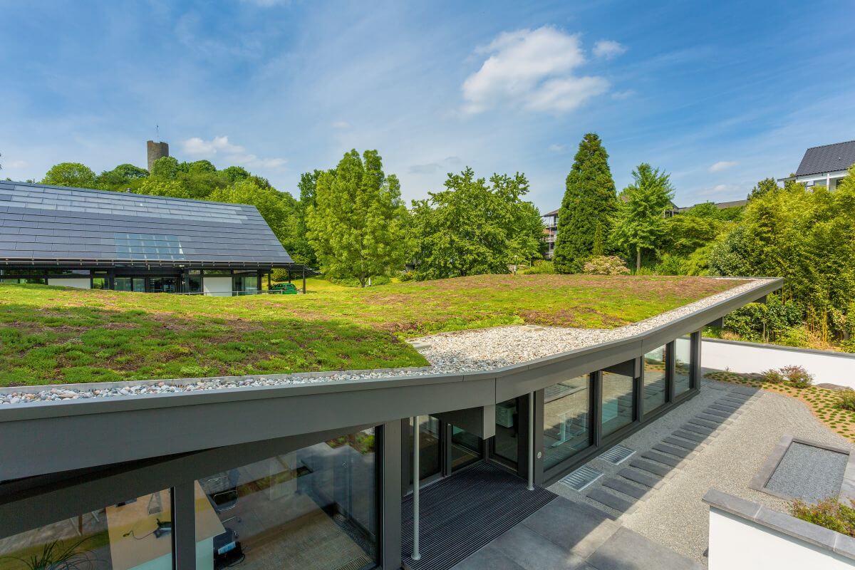 Green roof system