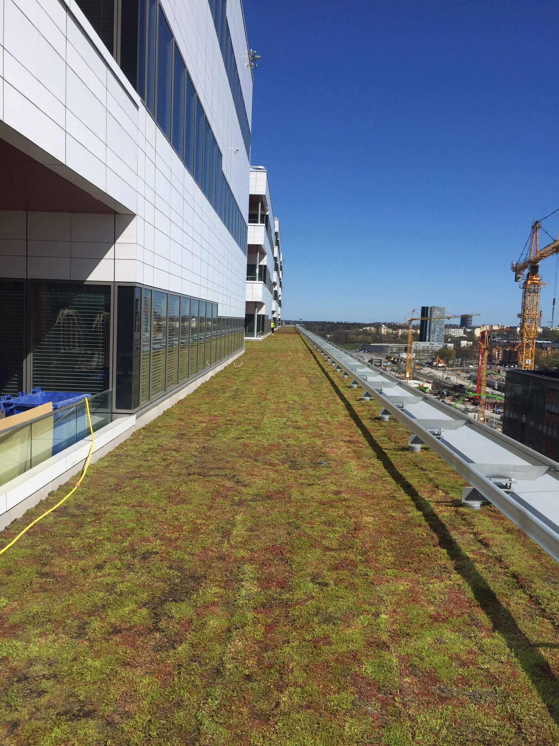 Karolinska-Hospital-Sweden-Green-Roof-2 result