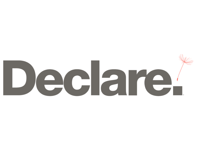 TYPE I DECLARATIONS