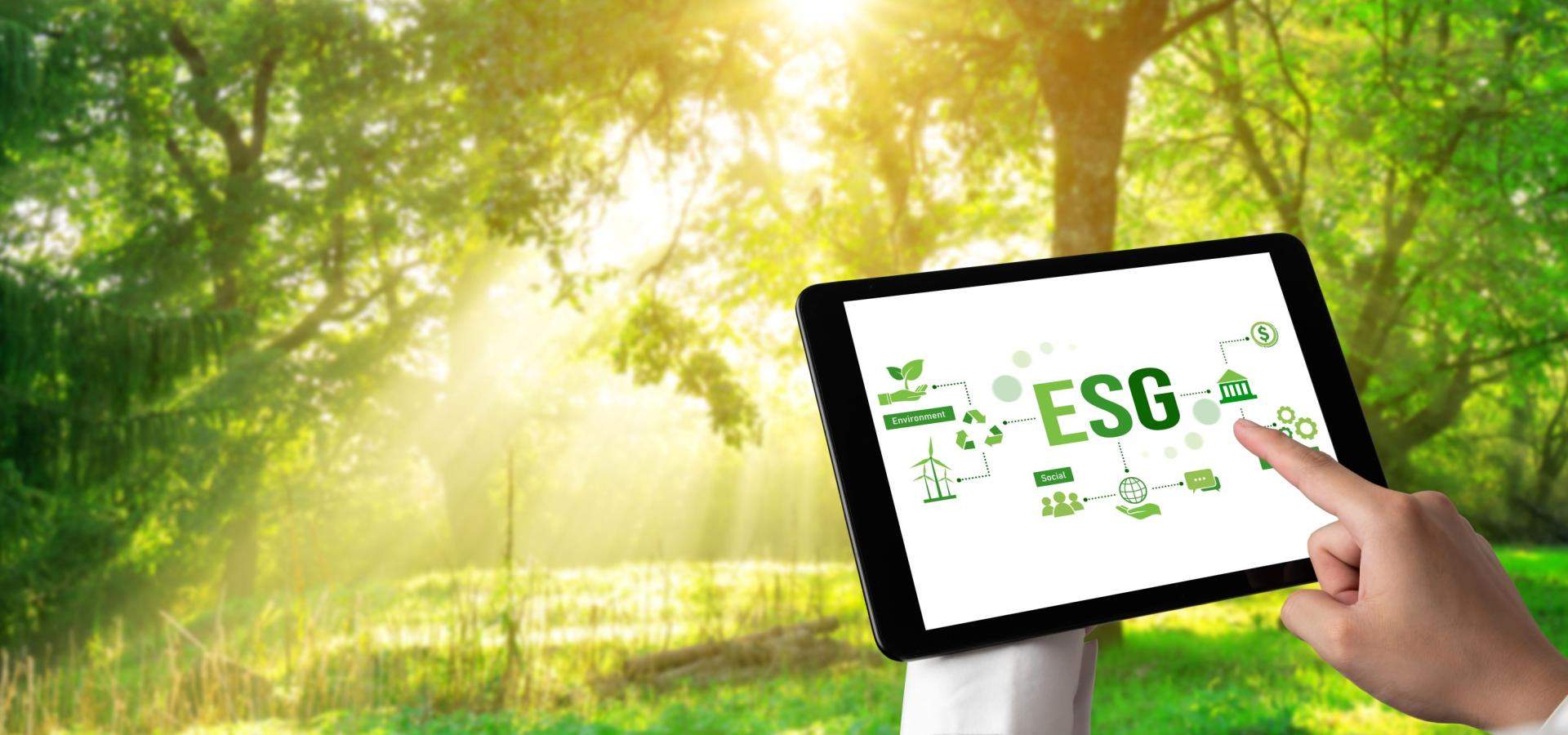 TOWARDS GREEN TRANSFORMATION