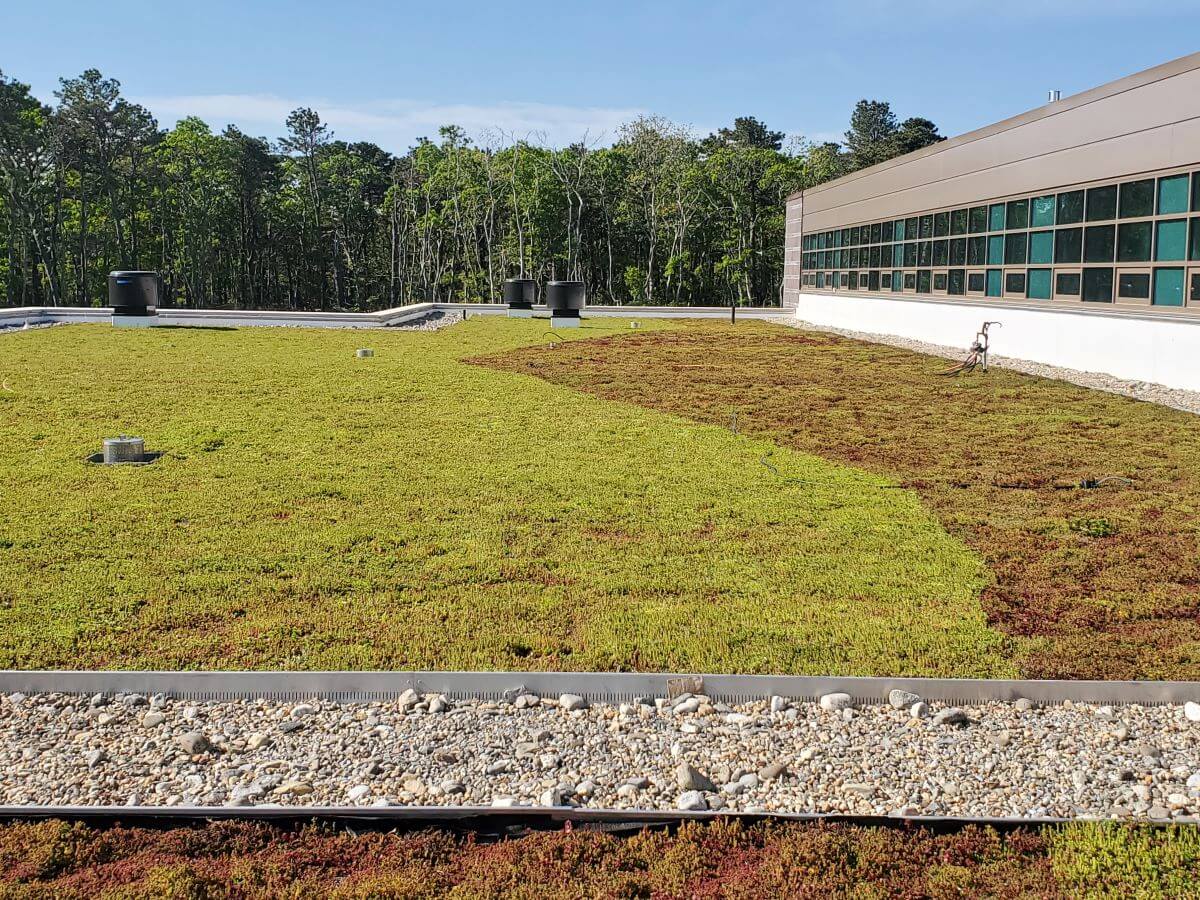 Cape Cod Regional Technical High School, Vereinigte Staaten 3 11zon