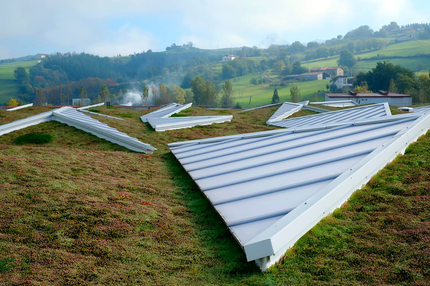 WHY GREEN ROOFS ON INDUSTRIAL FACILITIES