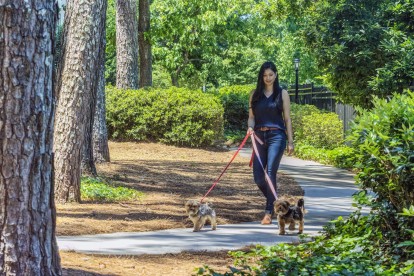 Private wooded walking path in pet-friendly community