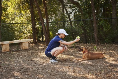 Private onsite dog park surrounded by trees