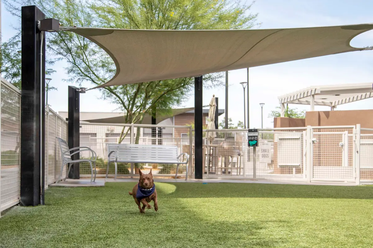 Fenced dog park at Camden North End.