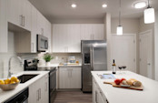 Kitchen with large island at Camden at Lake Nona in Orlando, FL