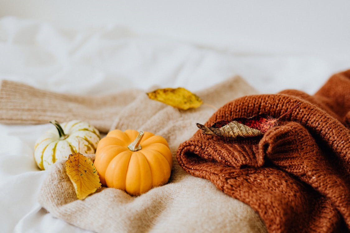 fall colors, pumpkin, sweater, Photo by Karolina Grabowska from Pexels 