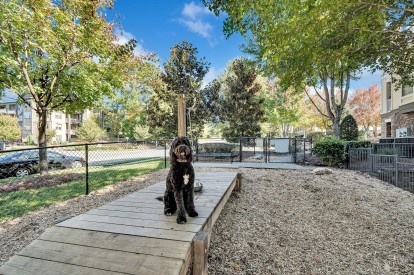 Dog Wash Station Inside Gated Dog Park at Camden Asbury Village