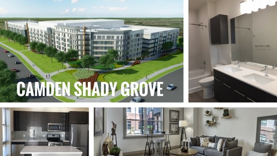 Photo courtesy of CamdenLiving.com