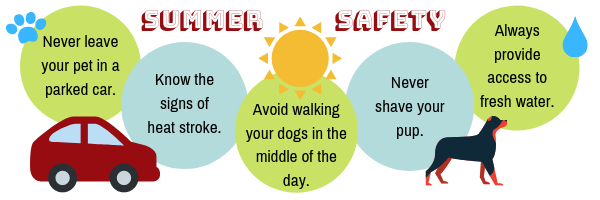 Summer Pet Safety Info-graphic