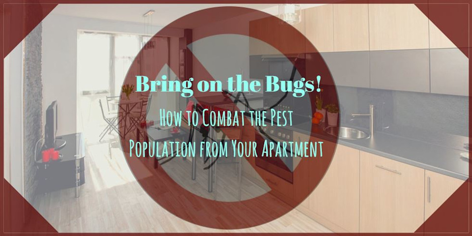 Photo courtesy of Designed in Canva