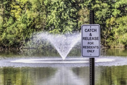 Catch and release pond