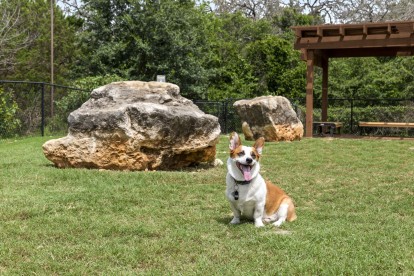 On-site, gated dog park with covered seating at Camden Gaines Ranch in Austin, TX