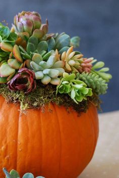 5 Unique Ways to Revamp a Pumpkin