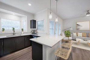 Open-Concept Kitchen and Living Room