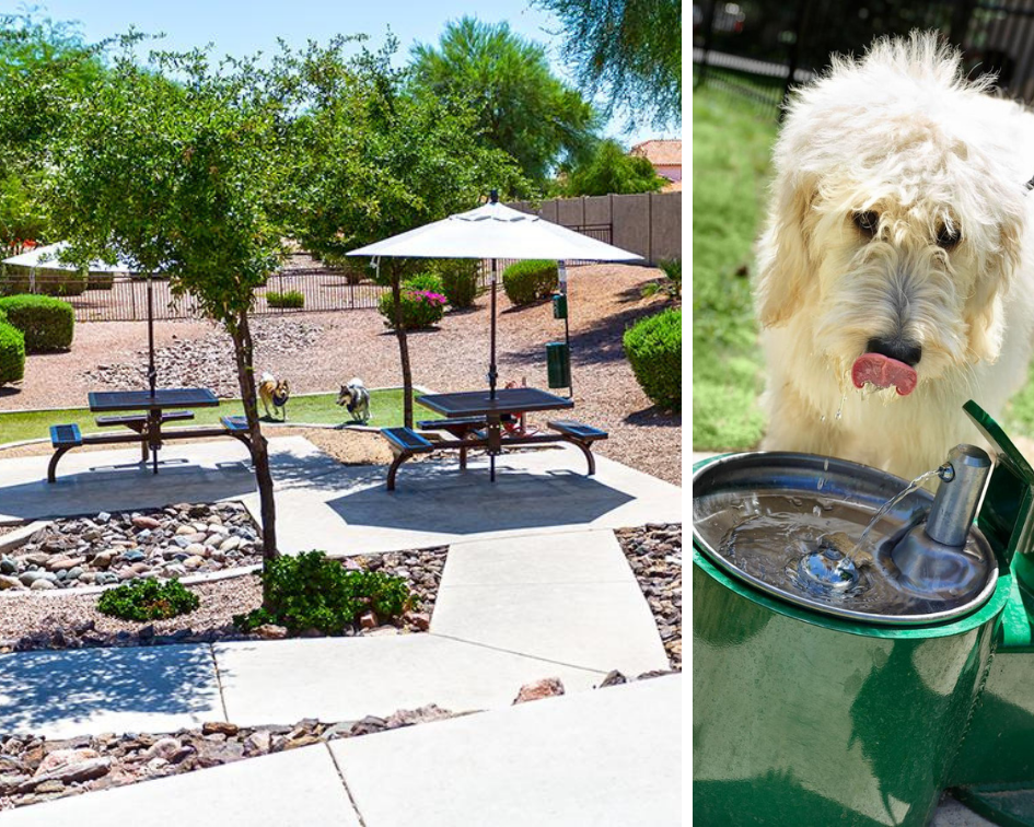 Shaded Dog Park and Dog Water Fountain