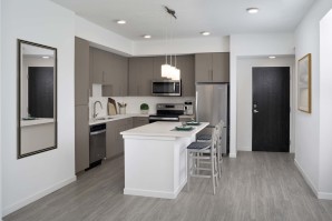 Mocha finishes in the B1 floor plan at Camden Lake Eola apartments in Orlando, FL