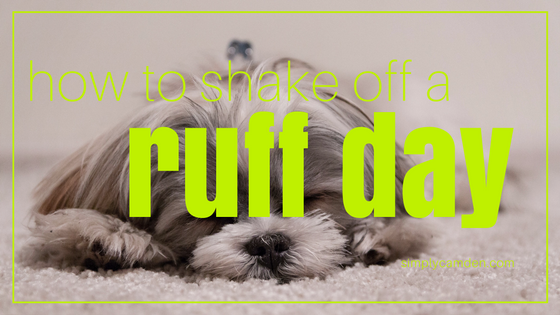 Photo courtesy of Canva.com