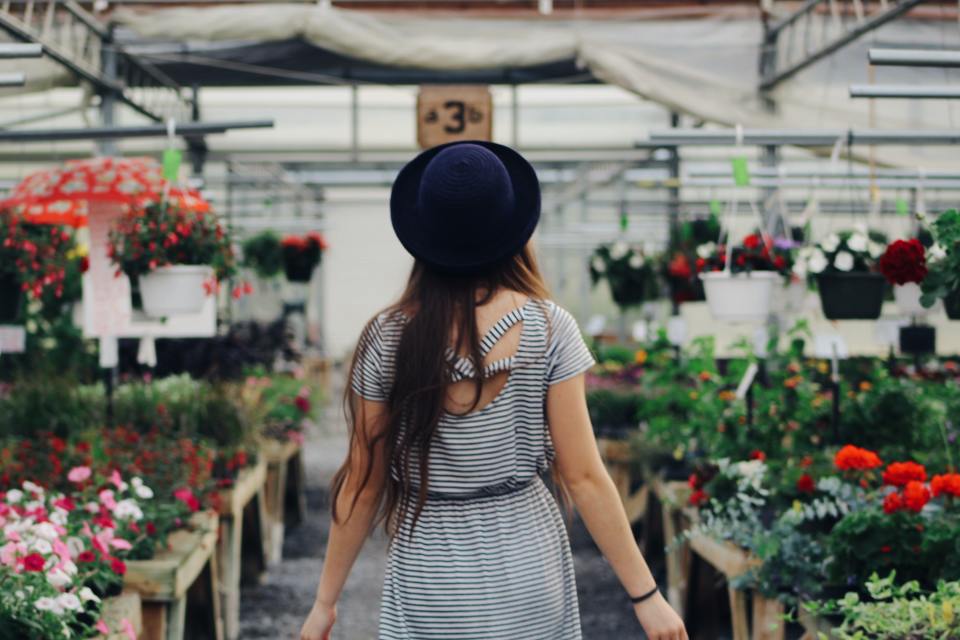 Photo courtesy of https://www.pexels.com/photo/woman-walking-between-display-of-flowers-and-plants-906006/