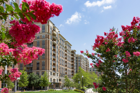 Front exterior of Camden Potomac Yard with beautiful flowers 