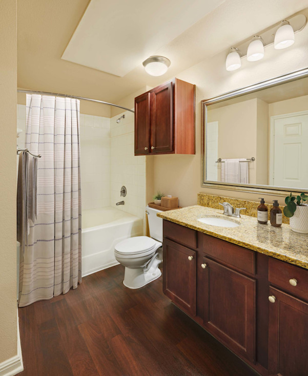 Bathroom with cabinet storage and bathtub at Camden Brushy Creek apartments in Cedar Park, TX
