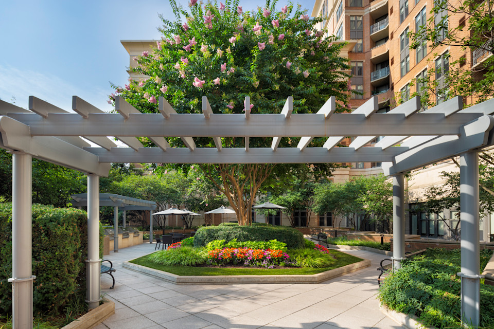 Life at Camden Potomac Yard