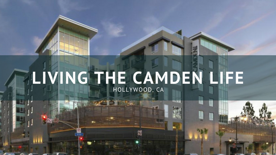 Photo courtesy of CamdenLiving.com, edited in Canva.com